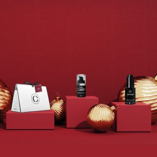 Merry Christmas and a happy new year!